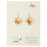Gold Heart Yellow Dried Flower Earrings