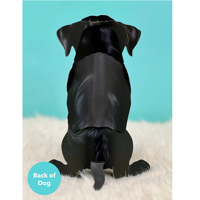 FreshCut Paper Back Lab Pop-Up 3D Greeting Card