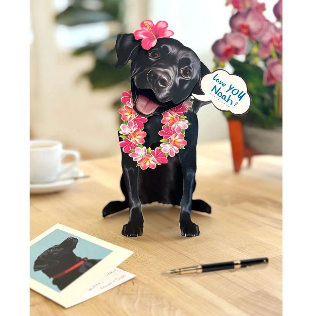 FreshCut Paper Back Lab Pop-Up 3D Greeting Card