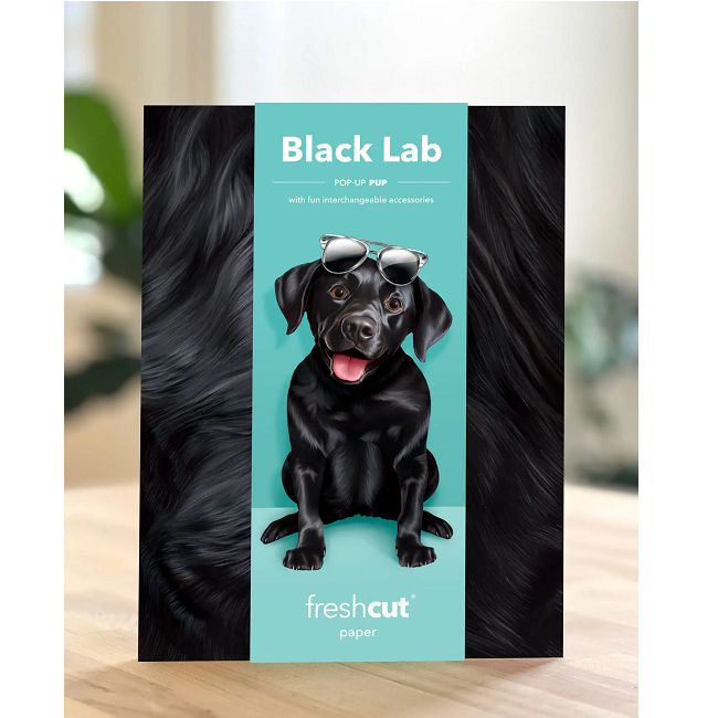FreshCut Paper Back Lab Pop-Up 3D Greeting Card