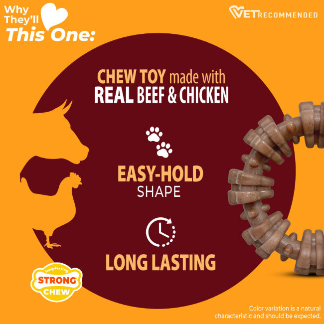 Nylabone Strong Chew Textured Ring Small