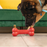 KONG Ziggies Dog Treat 8 oz