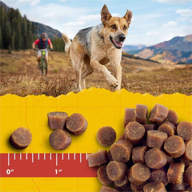Zuke's Mini Naturals Salmon Recipe Dog Treats 6 oz.