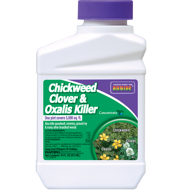 Chickweed, Clover & Oxalis Killer Concentrate, 16 oz.