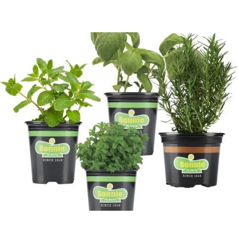 Vegetable and Herb Plants, Bonnie Plants