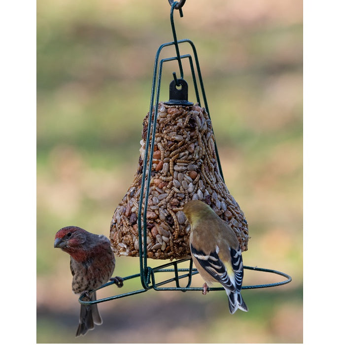 Mr. Bird Seed Bell Hanger