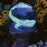 Echo Valley 10 in. Blue Swirl Illuminarie Gazing Globe