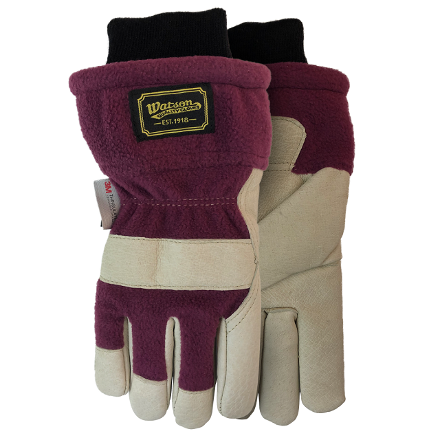 Watson Gale Force Women's Leather Winter Glove 9913