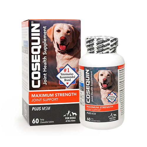 COSEQUIN® Maximum Strength Plus MSM Chewable Tablets, 60 Count