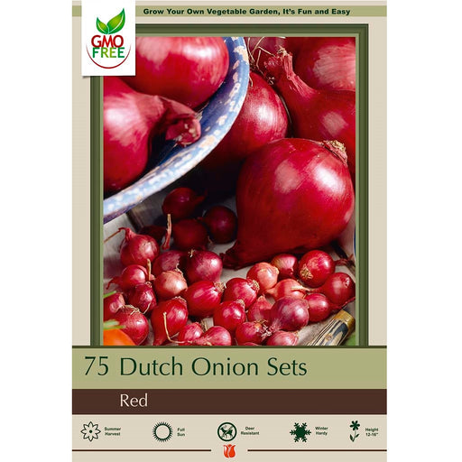 Dutch Onion Sets Red - 75-count