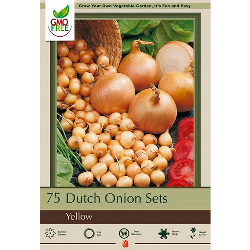 Dutch Onion Sets, Yellow - 75-count