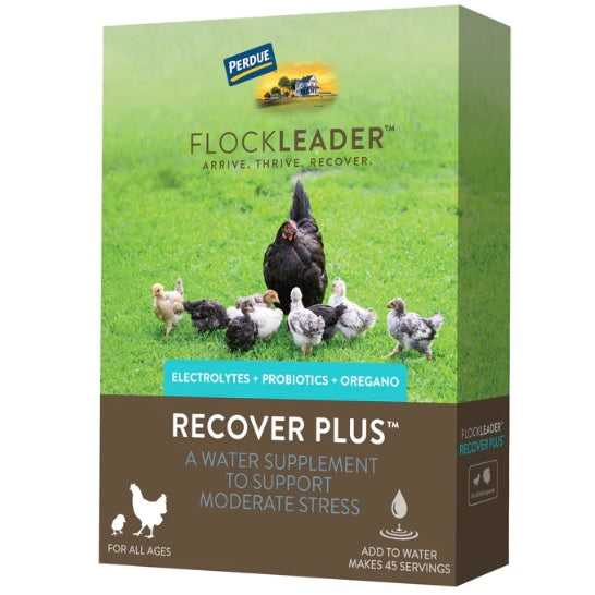 FlockLeader RECOVER PLUS Moderate Stress Probiotic Supplement, 8 oz.