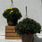 Hanging Basket Mum