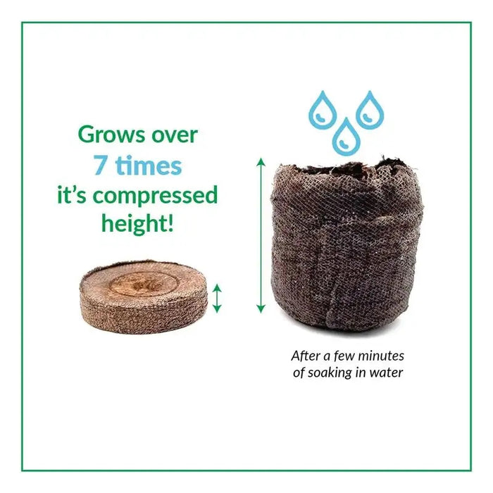 planting seeds in jiffy peat pellets Jiffy Seed Starting Windowsill Greenhouse with 12 Peat Pellets — Ellington Agway