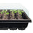 Jiffy 72-Cell Professional Seed Starting Greenhouse Kit
