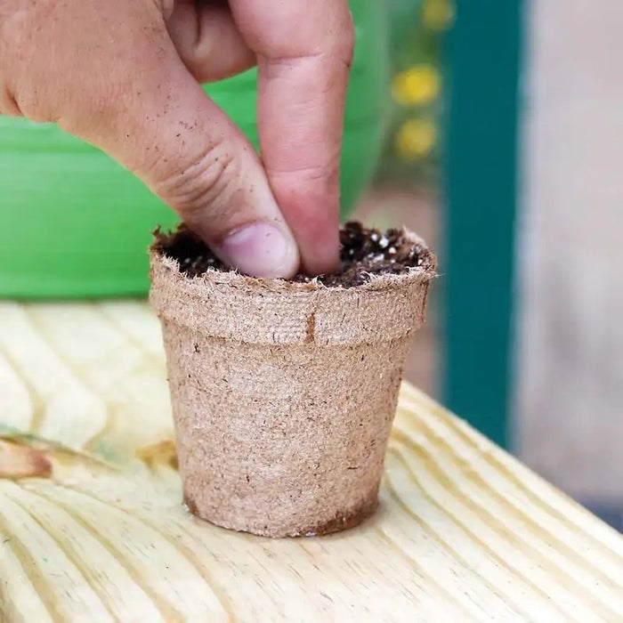 can you plant jiffy pots Jiffy 4" Round Biodegradable Peat Pots, 6 Pack — Ellington Agway