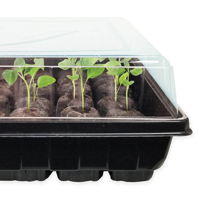 planting seeds in jiffy pots Jiffy Professional Seed Starting Greenhouse- 25 Peat Pellets — Ellington Agway