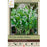 Lily of the Valley - Pack of 10