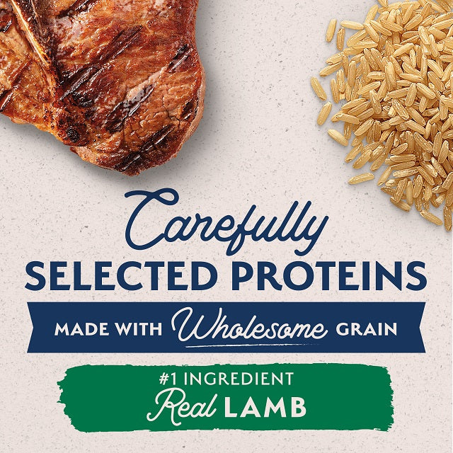 Natural Balance Limited Ingredient Lamb & Brown Rice Small Breed Recipe Dog Food
