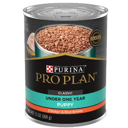 Purina Pro Plan FOCUS Classic Chicken & Rice Entree Wet Puppy Food