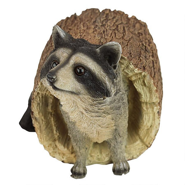 Bandit Raccoon in a Log Statue