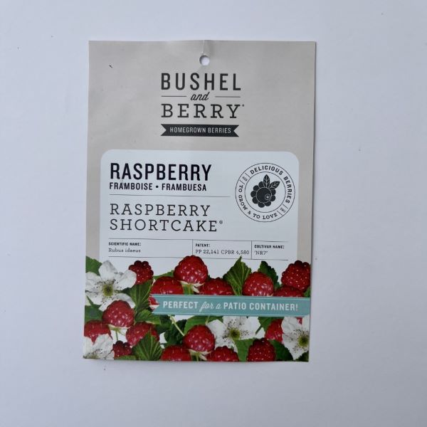 Raspberry Shortcake® Red Raspberry Bush, 2-Gallon