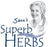 Herb, Cilantro/Coriander 1-Gallon