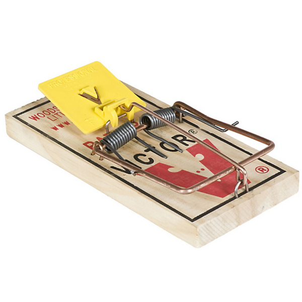 Traditional Wood Mouse Trap, Victor - Pack of 2 — Ellington Agway