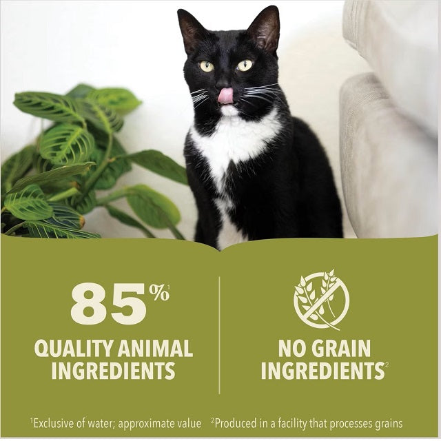 ACANA Premium Pate Chicken & Tuna Kitten Recipe in Bone Broth Grain-Free Wet Cat Food
