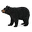 CollectA American Black Bear