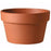 Clay Azalea-Style Pot