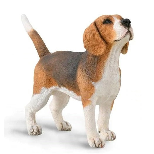 CollectA Beagle