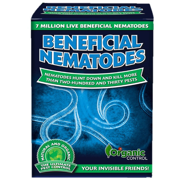beneficial nematode fungus gnat control for indoor plants Beneficial Nematodes, 7 Million, Live