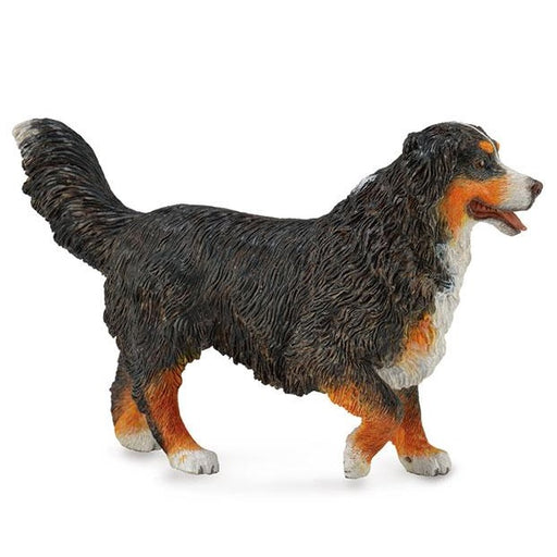 CollectA Bernese Mountain Dog