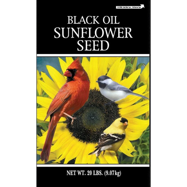 Black Oil Sunflower Seed 20 Lbs.