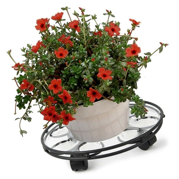 Plant Caddy, Black Wire with Saucer 14"