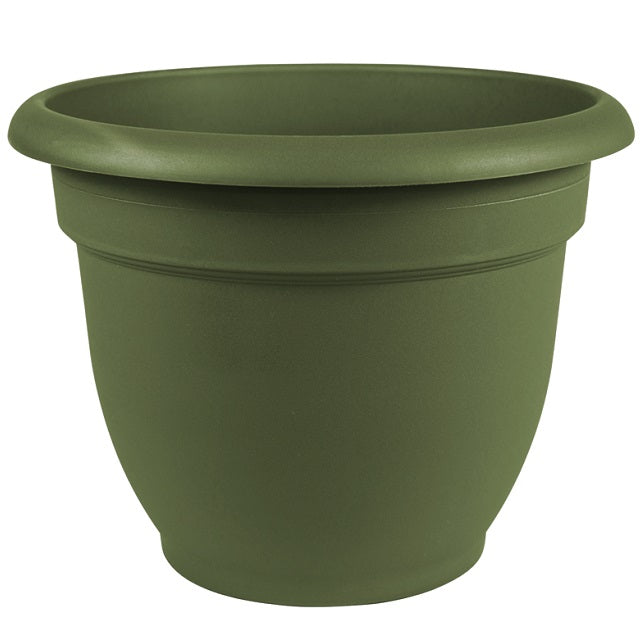 colorful plastic plant pots Bloem Ariana Plastic Self Watering Planter, 6" Assorted Colors — Ellington Agway