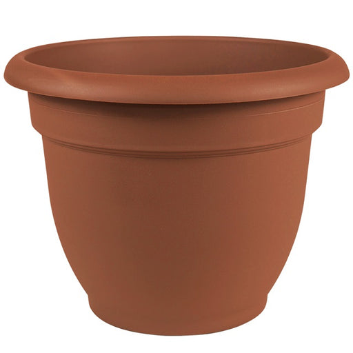 Bloem Ariana Plastic Self Watering Planter, 12" Assorted Colors