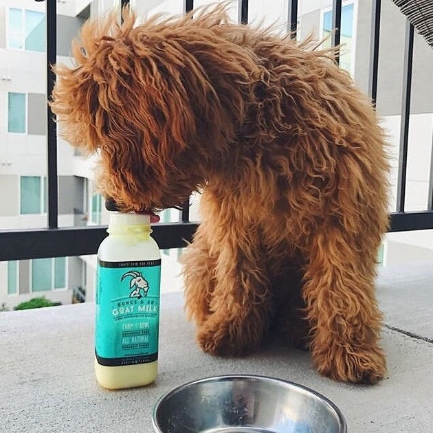 Bones & Co. Raw Goat Milk for Dogs and Cats