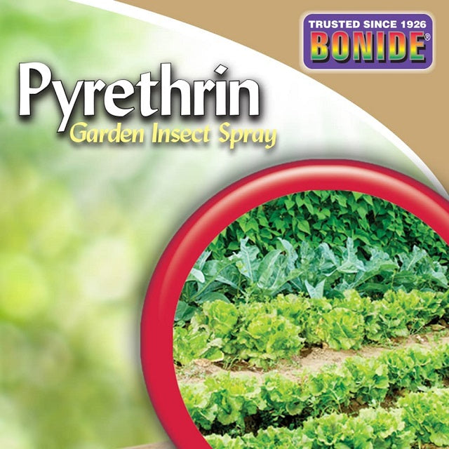 pyrethrin garden insect spray Bonide 8 Oz. Concentrate Pyrethrin Garden Insect Spray