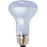 Agrosun Dayspot 60W Incandescent Bulb