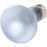 Agrosun Dayspot 60W Incandescent Bulb