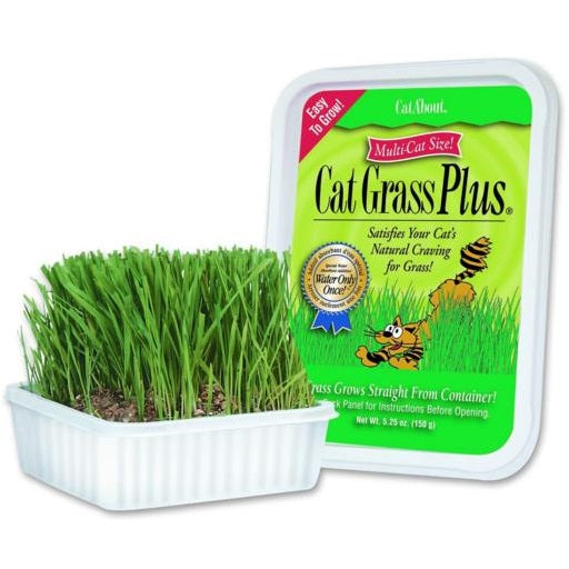 Cat Grass Plus Grow Kit, 5.5 oz.