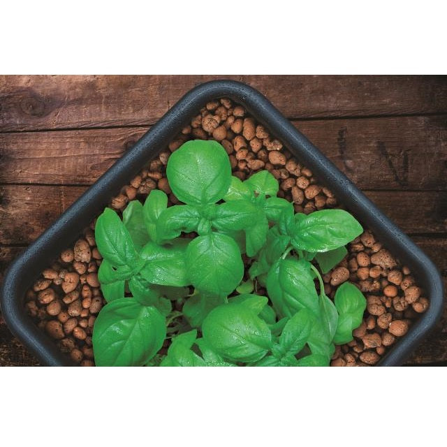 clay pebbles in potted plants GROW!T Horticultural Clay Pebbles — Ellington Agway