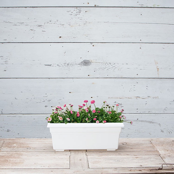 18 window box planters Novelty Countryside 18" Plastic Flower Box Planter, Assorted Colors — Ellington Agway