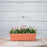 Novelty Countryside 24" Plastic Flower Box Planter, Assorted Colors