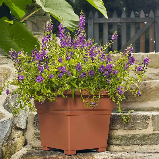 plastic tub planter Novelty Countryside Tub 14" Plastic Patio Planter, Assorted Colors — Ellington Agway