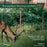 Deer-X Protective Mesh Netting for Gardens & Landscapes, 7ft x 100ft