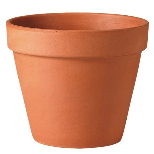 Standard Clay Pot