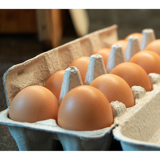 Farm Fresh Eggs 1-Dozen